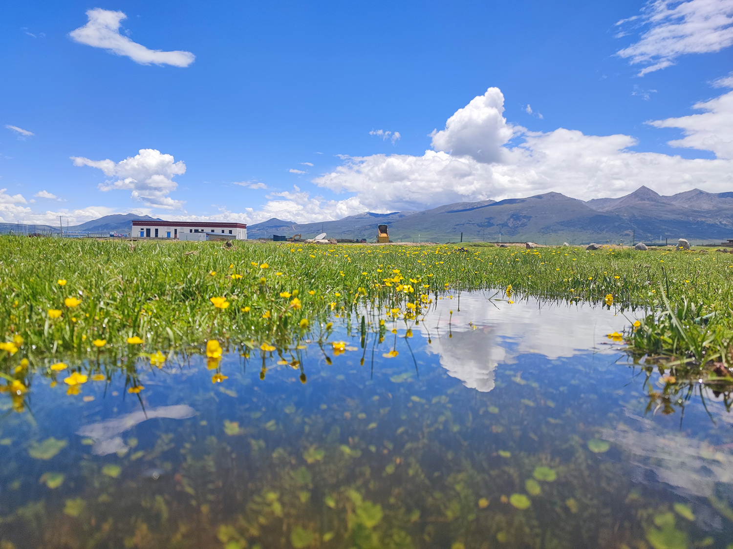 四川省理塘縣2018年國(guó)家天然草原退牧還草工程項(xiàng)目四標(biāo)段(圖1)